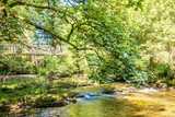 Fototapeta Krajobraz - Upper reaches of the River Severn in the Llanidloes countryside, Wales