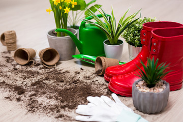 close up of gardening tools and potted flowers on wooden table