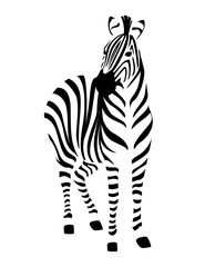 Wall Mural - African zebra front view outline striped silhouette animal design flat vector illustration isolated on white background