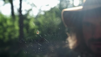 A young guy in the woods exploring a large spider on the web. The traveler looks at the web with a big spider. Scientific study of insects in natural conditions of existence.