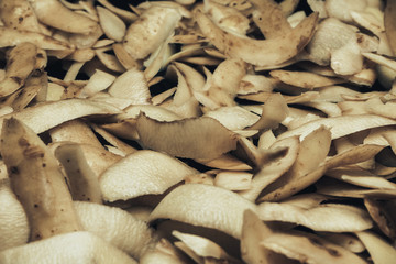 Poster - Potato skins on a black background. Close up.