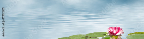 lotus flower on water background © cooperr