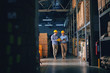 © Dusan Petkovic - Two business partners in formal wear and with protective yellow helmets on heads walking and talking about business. Younger one holding folder with data while older one using tablet.
