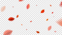 Fall Blurred Flying Red Leaves, Autumn Nature Vector Design Elements For Photo Decoration