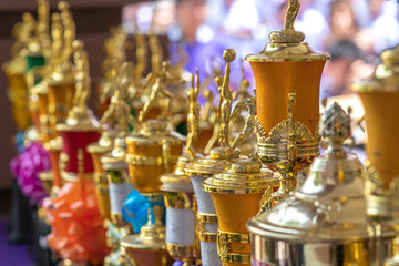 group of trophies on the table