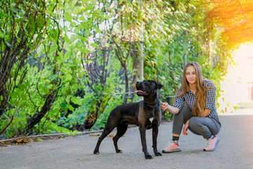 Wall Mural - Young girl is walking with her dog on a leash on asphalt sidewalk. Strong black labrador and stafford terrier mix breed in green summer park.