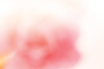 Wall Mural - unfocused blur rose petals in pastel tone for background