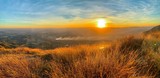 Fototapeta Krajobraz - sunset over wheat field