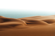 Dunes Vs Ocean. 