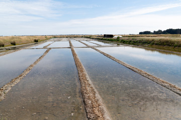 salt marsh production in Island on Ile de  Noirmoutier France Vendee