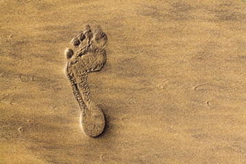 Single human barefoot footprint of left foot in brown yellow sand beach background, summer vacation or climate change concept, copy space