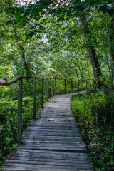  old wooden plank footbridge with stairs in forest