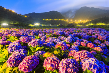 Canvas Print - travel in Taiwan