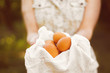 © Mihail - farmer hands holding some natural eggs