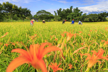 Canvas Print - travel in Taiwan