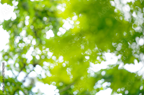 玉ボケ 丸ボケ 森の木々 背景素材 Buy This Stock Photo And Explore Similar Images At Adobe Stock Adobe Stock 玉ボケ 丸ボケ 森の木々 背景素材 Buy This Stock Photo And Explore Similar Images At Adobe Stock Adobe Stock