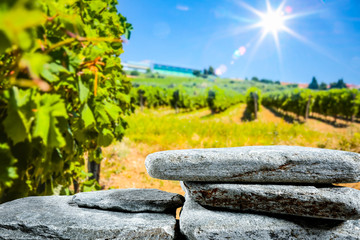  Stones and stone tray background in the beautiful sunny vineyard view and sun rays in distance
