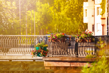 Wall Mural - Flowers in pots hanging on the bridge enclosure