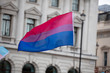 A bisexual flag is waved in the air at a pride event