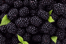Tasty Ripe Fresh Blackberries With Leaves As Background, Closeup View