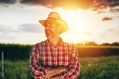 Cuadros en Lienzo senior bearded farmer with straw hat standing crossed arms in field with sun beh