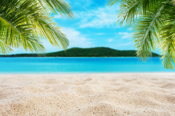 Poster - Tropical sand beach with palm leaves