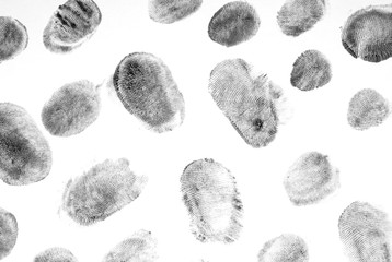 Fingerprints.Background with fingerprints.Black fingerprint on white background.