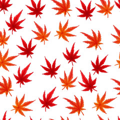 japanese maple leaves autumn hand draw watercolor imitation seamless pattern. falls red and oranges 