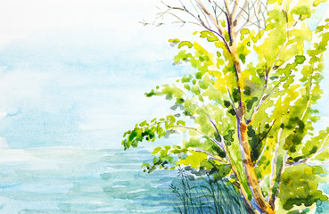 Wall Mural - Watercolor illustration of a lonely tree on the shore of the lake