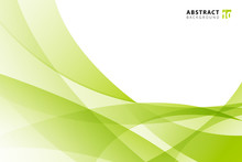Abstract Modern Light Green Wave Element On White Background With Copy Space.