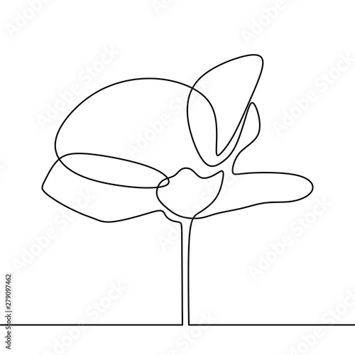Dekoracja na wymiar  kwiat-maku-jedna-linia-rysunek-ciagly-minimalistyczny-design-na-bialym-tle