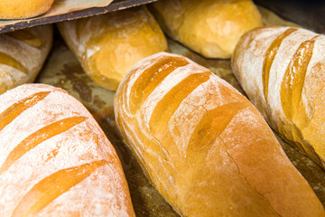 bread bakery food factory production with fresh products