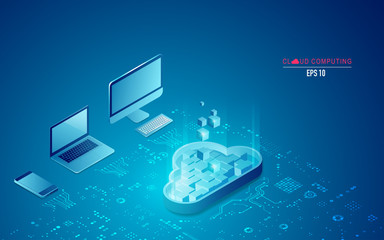 Wall Mural - cloud computing