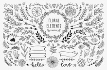Vector Hand Drawn Design Elements. Vintage Rustic Floral Illustrations. Doodle Banners, Laurels, Wreath, Branches, Ribbons, Divider, Swirls, Arrows. 