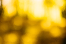 Yellow Bokeh Lights. Defocused Lens Flare. Autumn Tree Leaves. Abstract Art Background.