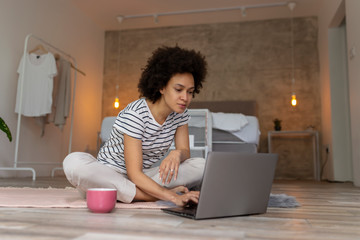 Wall Mural - Woman surfing the net