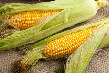 Wall Mural - Corn with leaves on burlap