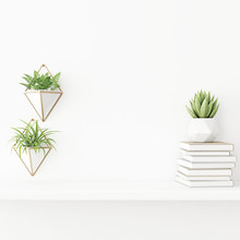 Interior Wall Mockup With Plants In Pots, Succulent And Pile Of Books Standing On The Shelf On Empty White Background. 3D Rendering, Illustration.