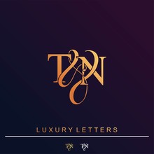 T & N TN Logo Initial Vector Mark. Initial Letter T & N TN Luxury Art Vector Mark Logo.