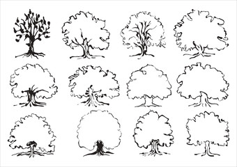 Wall Mural - Tree sketches set