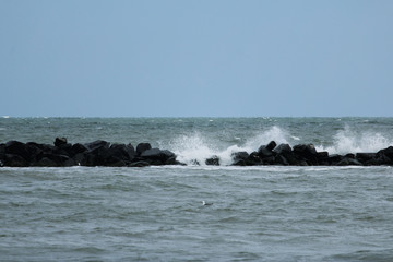 winter sea landscape