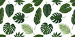 Tropical leaves Pattern,set of tropical on white background, Watercolor drawing.