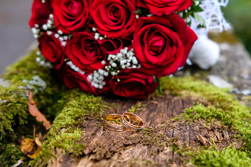 Bridal bouquet of red roses and two gold wedding rings in park on moss background. Concept photo of wedding magazine cover