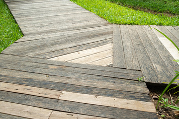 Wall Mural - wooden walkway