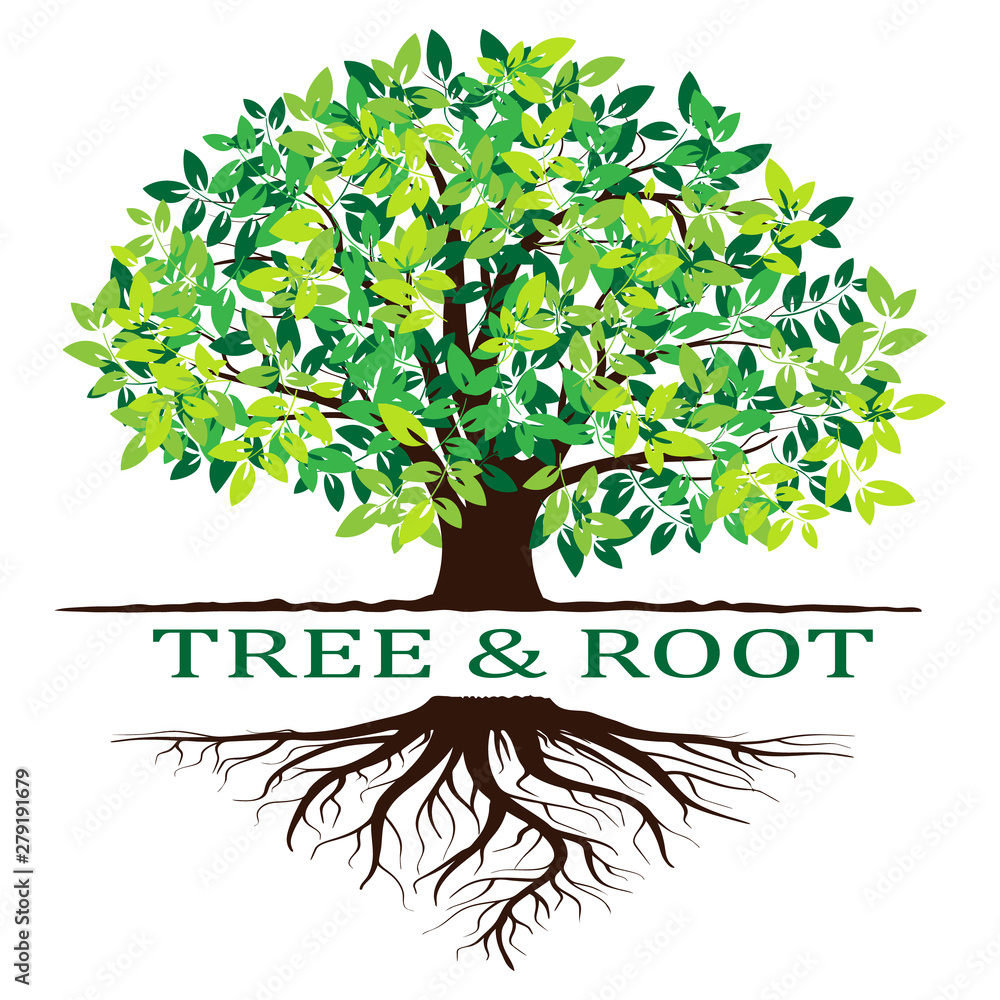 Green tree silhouette. Isolated on white background. Vector Stock ...