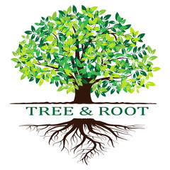 green tree silhouette. isolated on white background. vector
