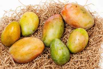 Wall Mural - ripe fresh colorful mango on a paper Mat