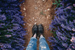 POV shot from above on woman feet in brown leather vintage boots and raw denim jeans stand on path or trail in lavender field between beautiful purple flowers, inspirational exploring blog post
