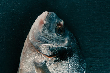 Uncooked fresh gilthead on black surface