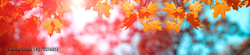 Foto  Banner autumn background